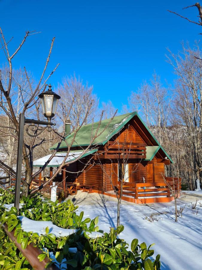 Вілла Vikendica Crkvina Колашин Екстер'єр фото