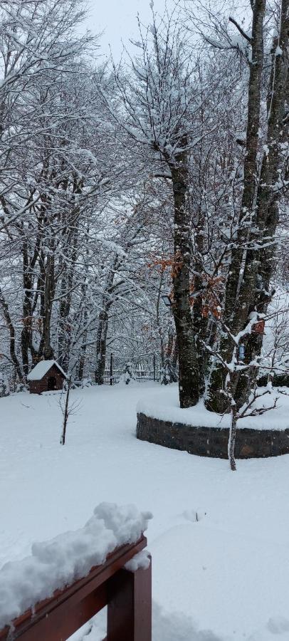 Вілла Vikendica Crkvina Колашин Екстер'єр фото